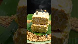 Giant Tempeh#shorts #miniature #tempeh