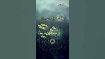 Surat Al Ghashiyah سورة الغاشية  (Ayat 17to26) Urdu translation ☝️❤️#quran #nature #love