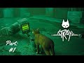 Just a cat and his bucket | Stray ~ Part 1