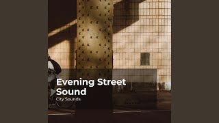 Celebrity City Full of Vim and Vigor Net Worth