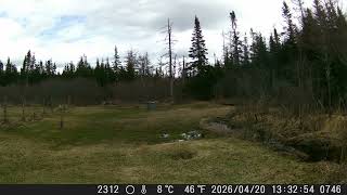 2026 — DSCF1746