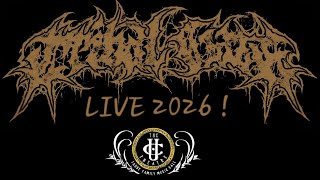 TRIBAL GAZE : LIVE in Berkeley, California. 2026 [HD] Full Performance.