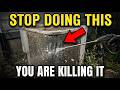 Why You're Cleaning Your Ac Wrong (And Killing It)