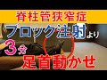 【脊柱管狭窄症】ブロック注射よりも足首動かせ