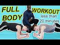 FULL BODY HOME WORKOUT IN UNDER 20 MINUTES (no equipment)