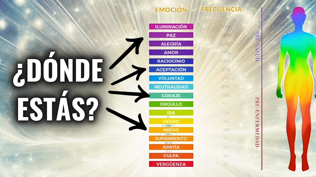 Niveles De Conciencia Humana Copia De Niveles De Conciencia | PDF