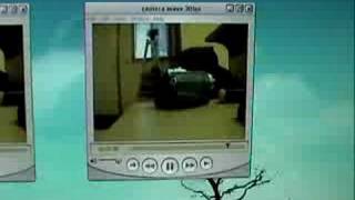 Stop Motion Frame Rates