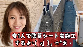 女ひとりで防草シート設置　ザバーン