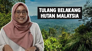 Tulang Belakang Hutan Malaysia