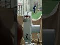 Hard ball challenge 1six on 6 balls #cricket #cricketlover #cricketnews #cricketforever #lovecricket