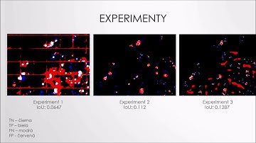 Building Detection in LIDAR Data