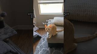 This is becoming a problem…