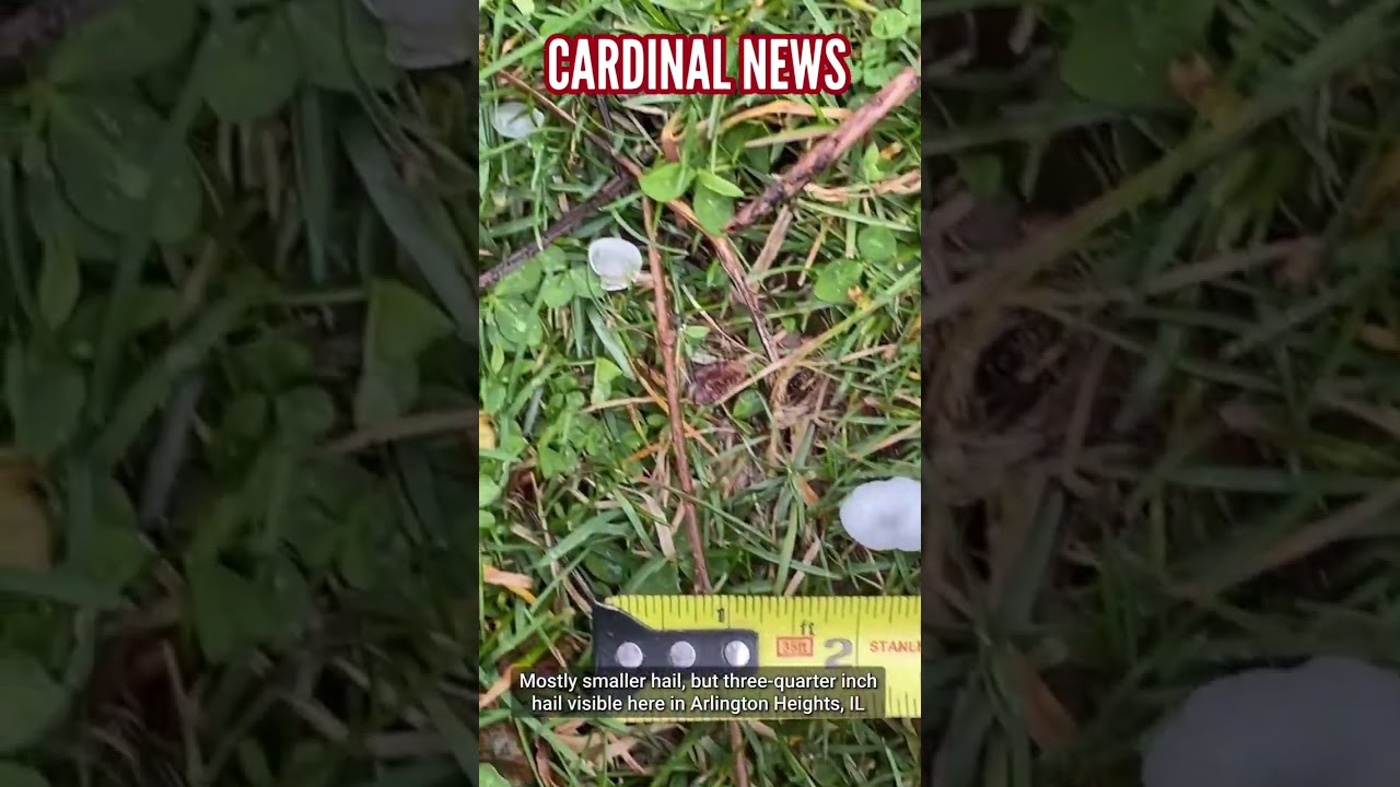 Hail three-quarter inch along with smaller hail in Arlington Heights, Illinois
