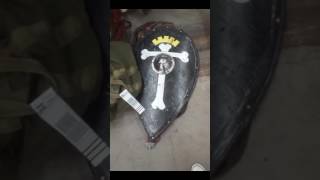SCA shields