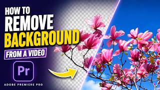 How to Remove Background from Video in Adobe Premiere Pro |Adobe Premiere Pro Tutorial