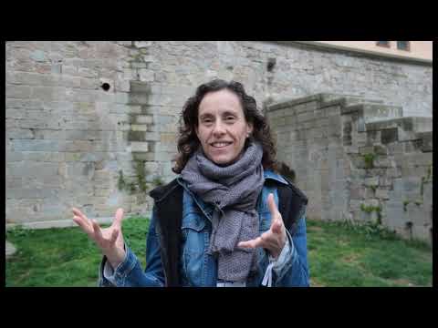 Festival de Dansa Batecs a Manresa vice movie