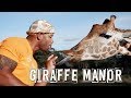 FEEDING GIRAFFES FROM MY BEDROOM !!!