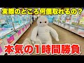 実際のところ１時間で何個景品を落とせるの？【クレーンゲーム】万代BiVi新さっぽろ店