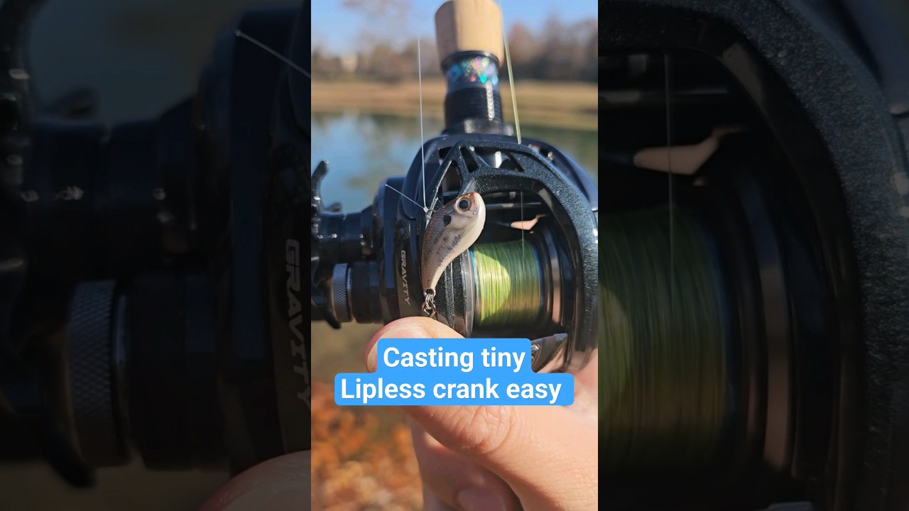 Casting 1/16th Oz is Easy with Ark Gravity BFS reel 