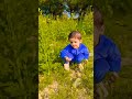dhurandhar#trendingsong#cutebaby #beautifulsmile #shortvideo