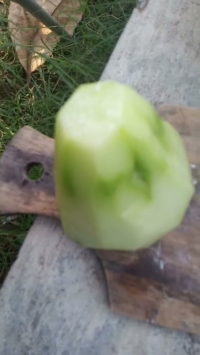 Pengen penis besar??? semua bisa diatur