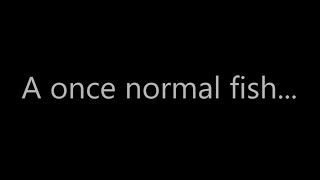 Its up to you guys - Fish
