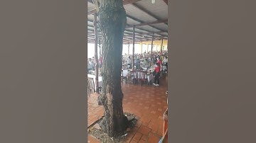 Nhà hàng Cây Bàng Pham Thiết