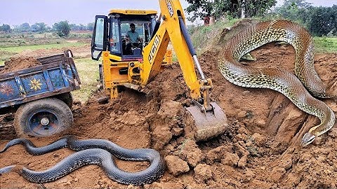 JCB 3dx Backhoe Loading Mud in Mahindra 275 Di tractor JCB miti Khudai #jcb #jcbvideo
