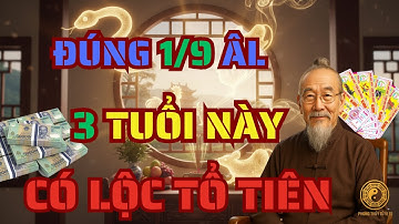 Hé Lộ 3 Con Giáp Được Tổ Tiên Ban Lộc, Tiền Vàng Ùn Ùn Kéo Về Ngày Mùng 1 Tháng 9 Âm Lịch Năm Ất Tỵ