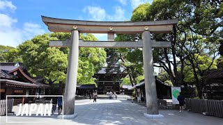 Meiji Jingu Shrine ｜ Yoyogi Park to Shibuya - Daytime -  No.002｜Tokyo｜2024.5