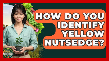 How Do You Identify Yellow Nutsedge? - The World of Agriculture