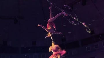 Vở XIẾC Đặc Biệt của Liên đoàn Xiếc Việt Nam tại 182 Quang trung, Hà Đông,HN từ 26/05-04/06/2023