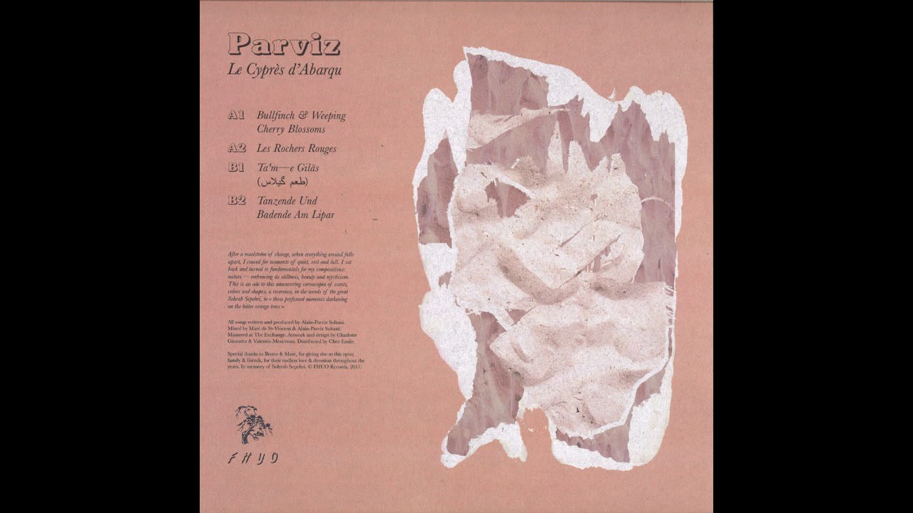 Parviz - Bullfinch & Weeping Cherry Blossoms