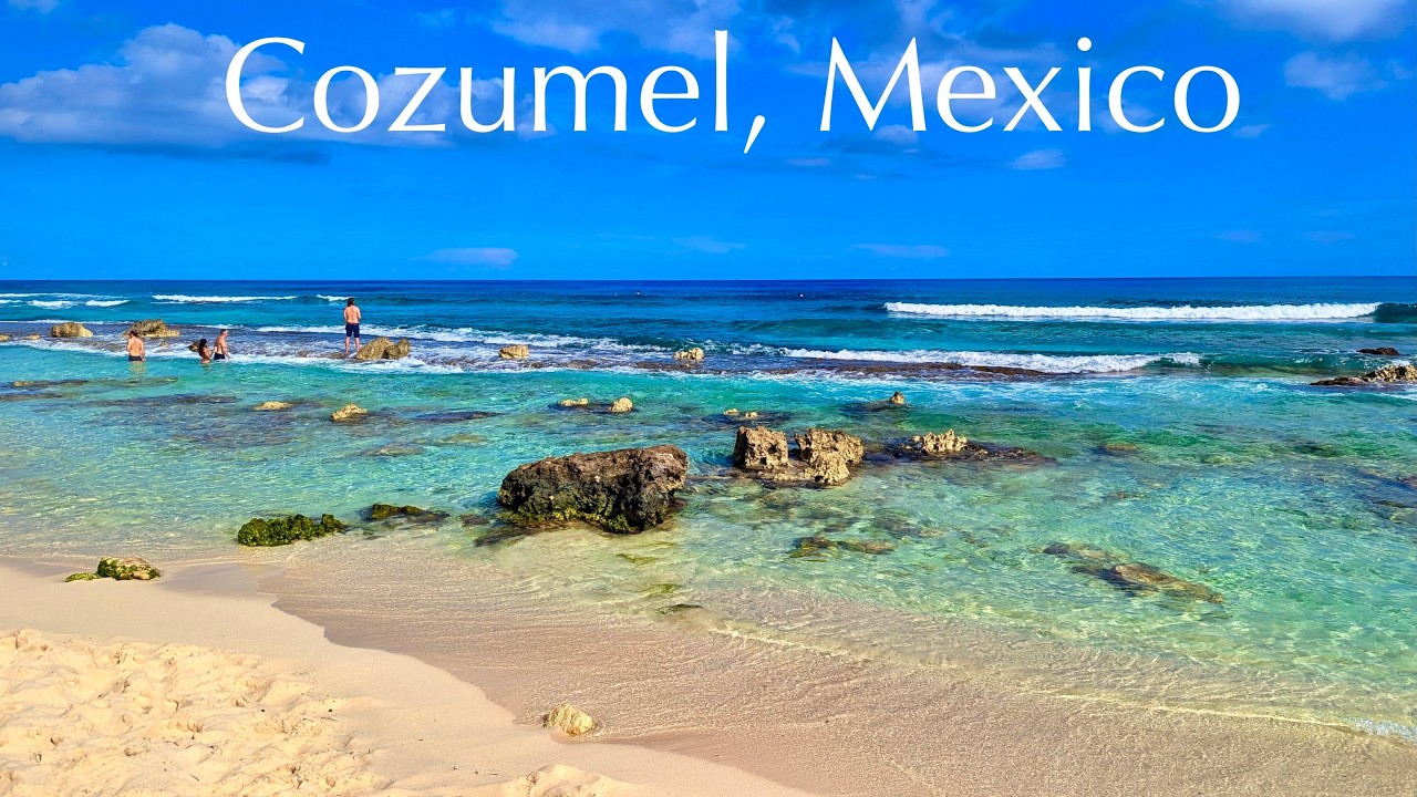 Обзор лучших развлечений в Косумеле, Мексика: стоят ли они шумихи?