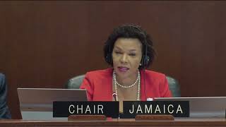 2023 JUL 26 Special Meeting of the Permanent Council Profile