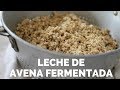 Leche de AVENA FERMENTADA | una guía completa