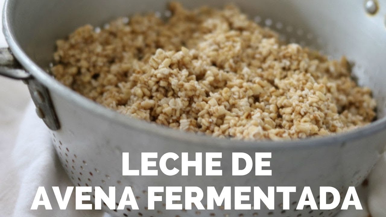 Leche de AVENA FERMENTADA | una guía completa - YouTube