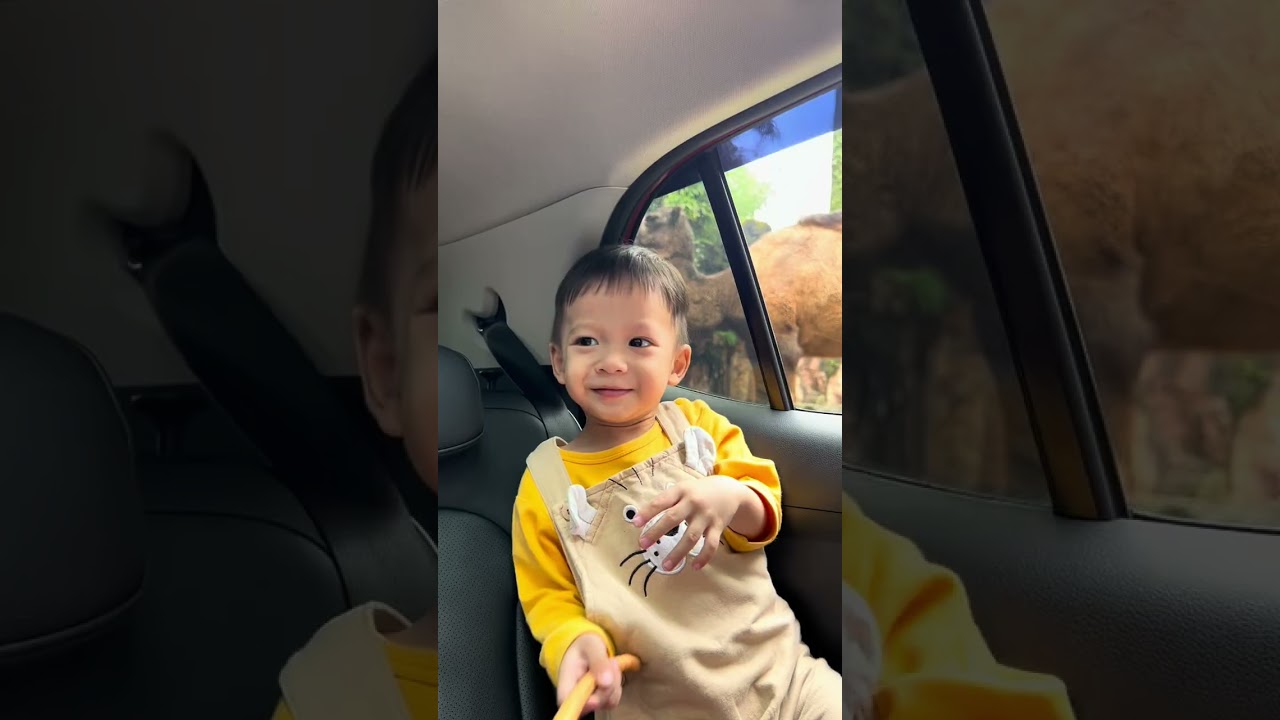 Kamilah dan Alif explore ke Taman Safari Indonesia