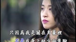 鳳飛飛 - 我是一隻畫眉鳥 (永遠懷念鳳飛飛卡啦ok)