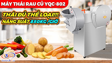 Máy Thái Khoai Tây, Cà Rốt, Củ Cải, Hành Lá,...| Máy Thái Rau Củ YQC-802| Điện máy 3G