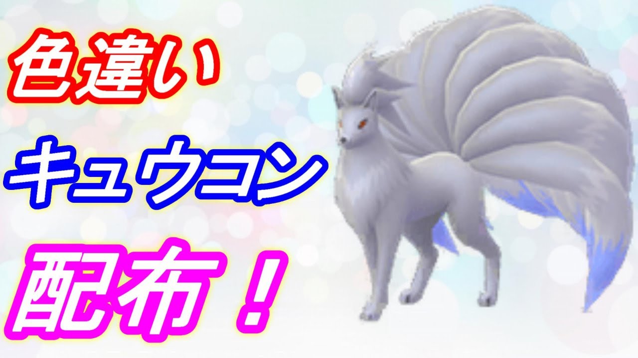 ポケモン剣盾 夢特性色違いキュウコン メス のレイド配布 今日で〆ます 初見さん大歓迎 ポケモンソード シールド Youtube