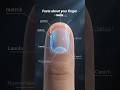 Do you know what happens inside your finger nails