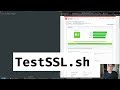 Check your SSL configuration using testssl.sh