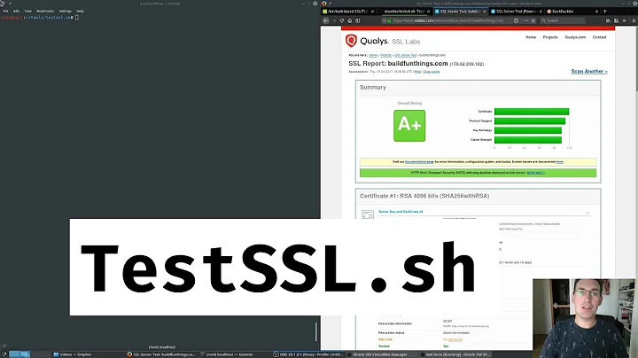 Check your SSL configuration using testssl.sh