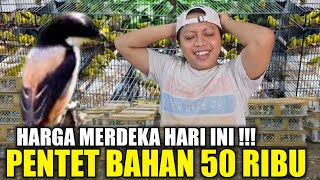 Download Lagu BIKIN PANAS LAGI ! RATUSAN EKOR BURUNG OMBYOKAN DIJUAL MURAH HARI INI SERASA JUAL RUGI MP3 Download Lagu BIKIN PANAS LAGI ! RATUSAN EKOR BURUNG OMBYOKAN DIJUAL MURAH HARI INI SERASA JUAL RUGI MP3