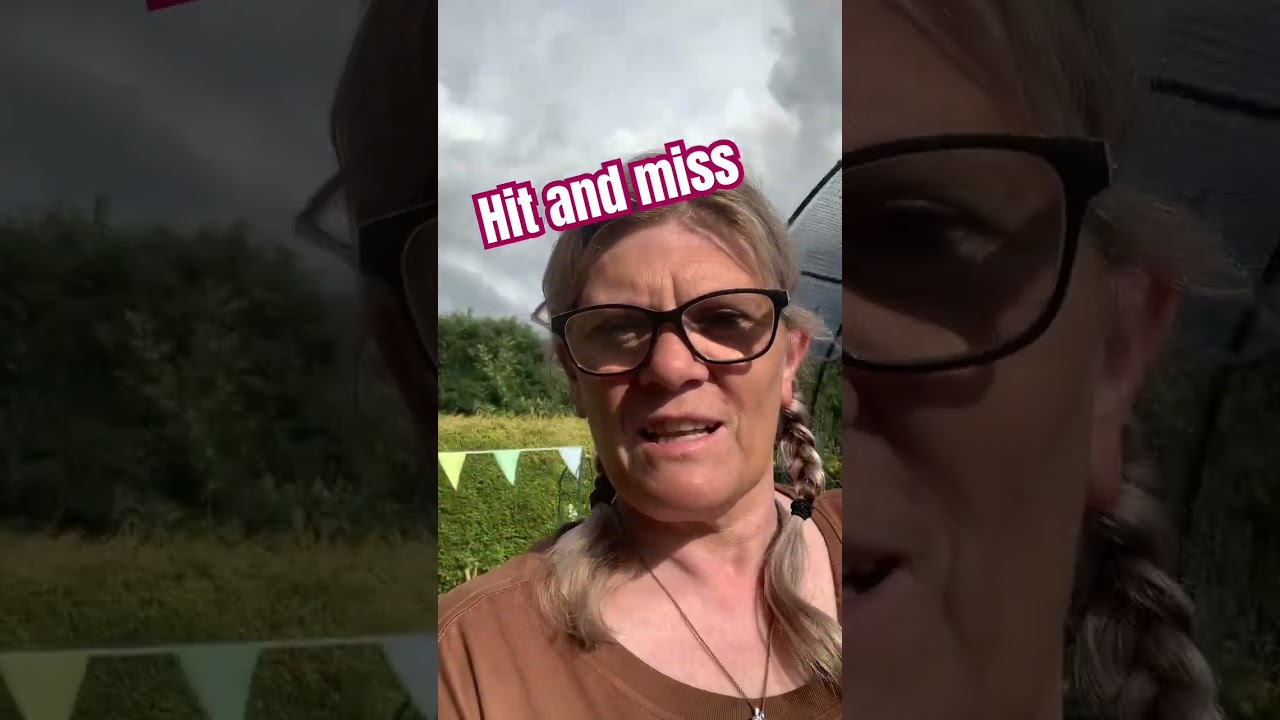 Early evening ing sun between the rain