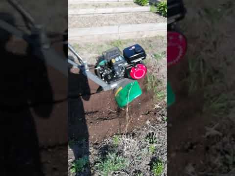 Caiman Trio 70 c3 Caiman Trio 70 c3