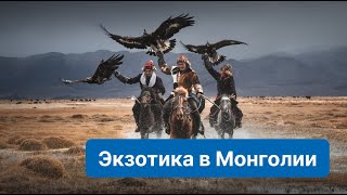 Обзор экзотических мест в Монголии