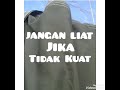 Video untuk pintu tiga dara teknik