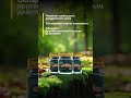 Greenleaf - продукция для дома,  ухода за своей красотой и здоровьем.